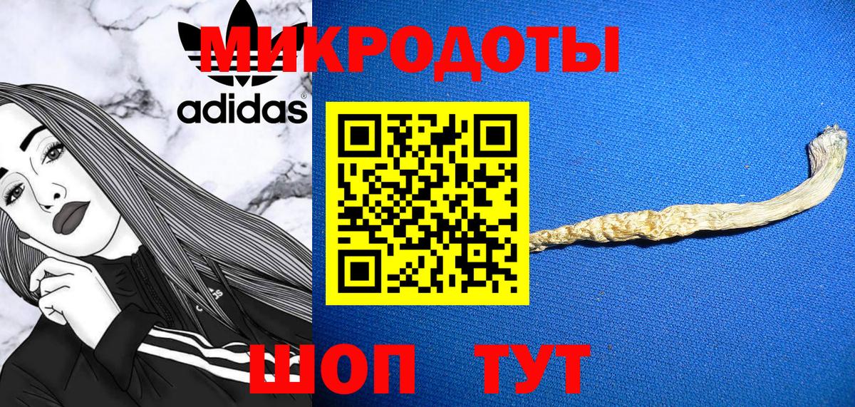 Псилоцибиновые грибы Psilocybe  Вход с VPN  Кольчугино  Галлюциногенные грибы прущие грибы 